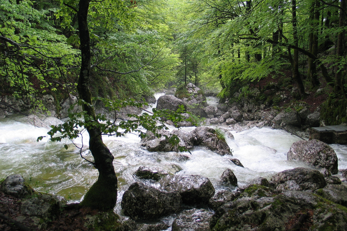 Grand Wonders of Japan